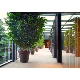 Floral Mood Simple - Virágtartó edény 700 literes